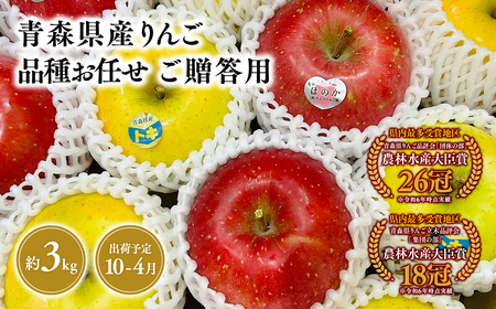 2026年産10月～4月発送　品種お任せ　贈答用　旬のりんご詰め合わせ３kg【青森県 平川市 そと川りんご園】