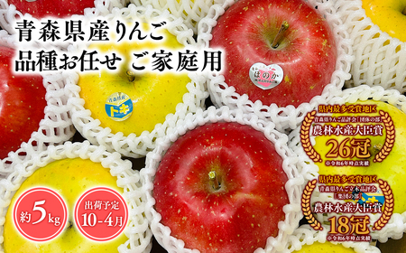 【レビューキャンペーン】2026年産 品種お任せ　【訳あり】家庭用　旬のりんご詰め合わせ5㎏りんご リンゴ 林檎 りんご 青森 平川市産 [hi-0053-078]