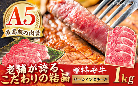 最高級A5等級 三重県産黒毛和牛 柿安牛 サーロインステーキ 計1kg（200g×5枚） / 亀山市 / 柿安本店 [AMBW005] / 牛肉 国産和牛 冷蔵 サーロイン ステーキ 赤身 和牛 肉 国産 BBQ すてーき肉 a5