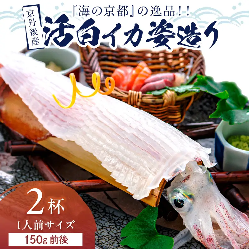 京丹後産　『海の京都』の逸品！！　活白イカ姿造り（クリスタル白いか）1人前サイズ2杯（150g前後）（2026年6月上旬～発送）