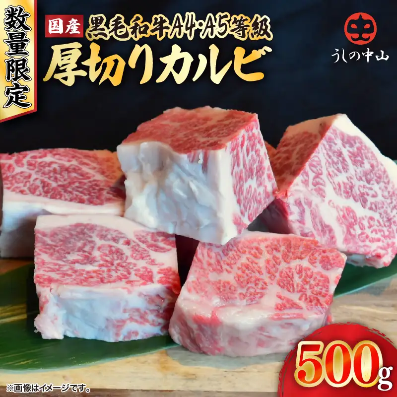 2547 【 数量限定 】 A4・A5等級 うしの中山 黒毛和牛 厚切りカルビ 500g （ 500g×1袋 ） KN050-023 肉 牛肉