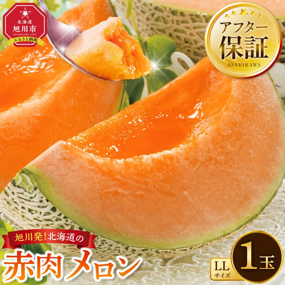 【先行予約】北海道産 赤肉メロン LLサイズ 1玉（計2.0kg以上）2026年6月下旬から発送開始 | メロン _04564