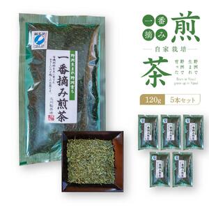 野洲生まれ　野洲育ち自家栽培　一番摘み煎茶120g　5本セット