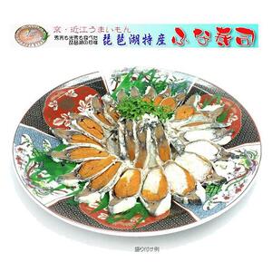 近江名産「鮒寿司」ふなずし 漁師直漬け　1本入り｜野洲市 伝統製法 発酵食品 滋賀県 特産品 寿司 漁師の手作り 風味豊かな 魚介 日本食 和食 発酵食品 地元食材 お取り寄せ 通販 ふるさと納税｜