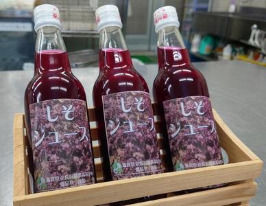 【8月発送】長浜農業高校 しそジュース 360ml × 3本