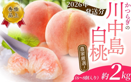 【予約受付】こだわり農家厳選 川中島白桃 和歌山産の桃 ＜大玉特秀品＞ 約2kg（6個~9個） 【2026年7月末頃～2026年8月末頃に順次発送予定】（お届け日指定不可）/ 桃 もも 川中島 白桃 フルーツ 果物 くだもの 【kgr011A】