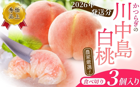 【予約受付】こだわり農家厳選 川中島白桃 和歌山産の桃 ＜大玉特秀品＞ 嬉しい食べきり容量 3玉 【2026年7月末頃～2026年8月末頃に順次発送予定】（お届け日指定不可）/ 桃 もも 川中島 白桃 フルーツ 果物 くだもの 【kgr012A】