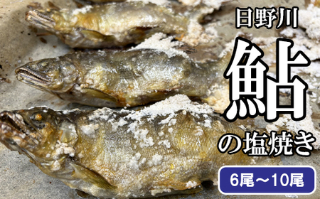 鮎の塩焼き【アユ 塩焼き 600g～700g 6尾～10尾 鳥取県産 日吉津村 冷凍】