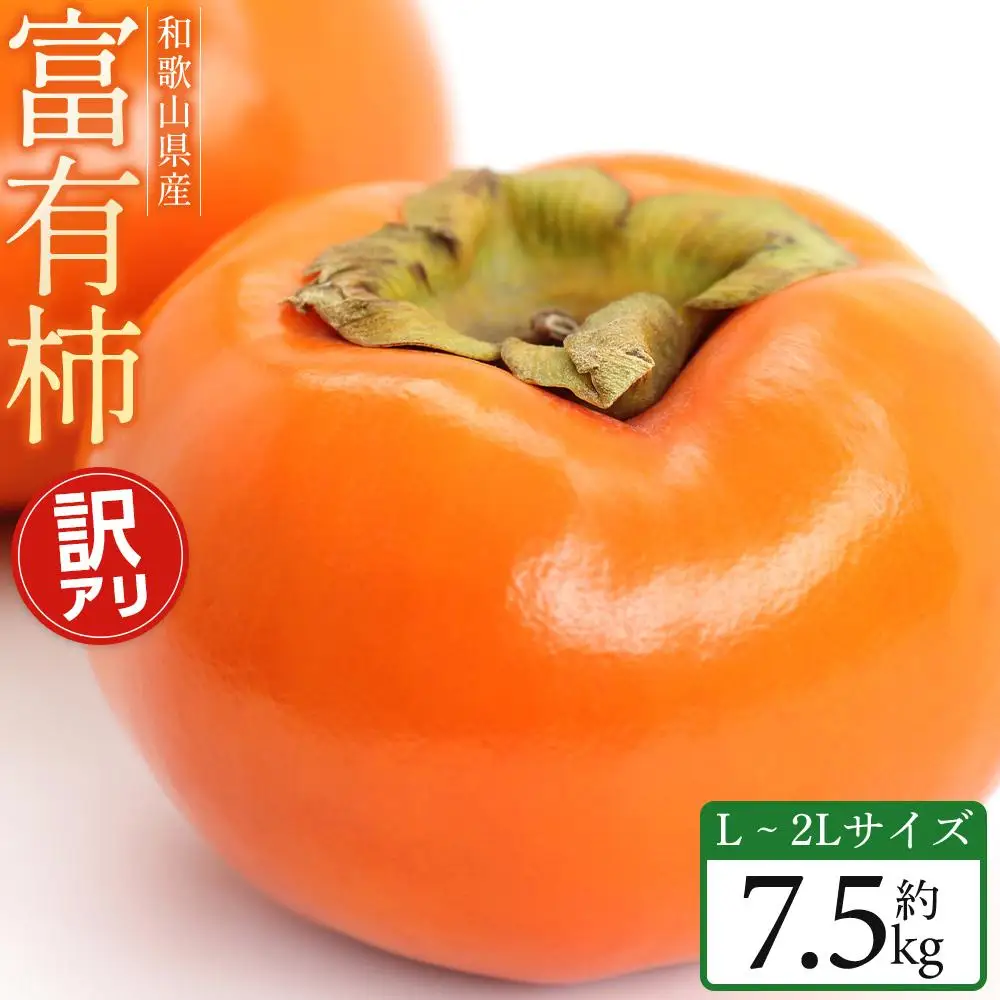和歌山県産 訳あり 富有柿 7.5kg L ~ 2L 柿 【2026年11月中旬～発送】