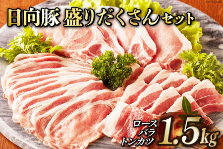 日向豚 盛りだくさんセット 1.5kg [JAみやざき 日向肉豚部会 宮崎県 日向市 452060632]