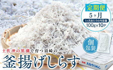 【 しらす 】 釜揚げしらす定期便 5ヶ月