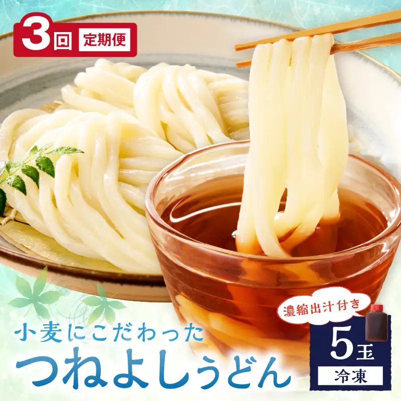 【定期便3回】冷凍うどん5玉入（濃縮出汁付き）_KI00031_うどん