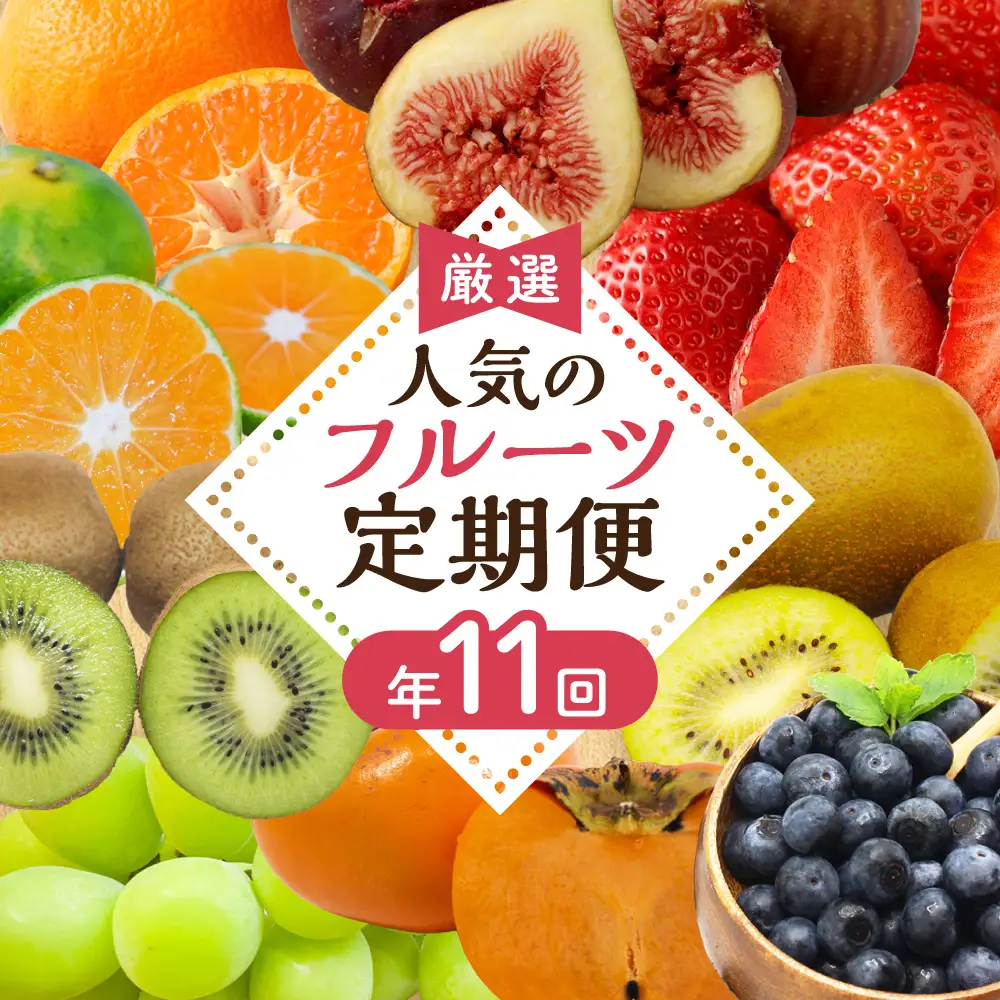 【定期便/年11回】フルーツ JAむなかた厳選！旬のフルーツ定期便 _HB0171