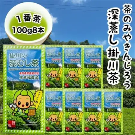 一番茶100%使用　世界農業遺産　茶草場農法　茶のみやきんじろう深蒸し掛川茶　8本セット【配送不可地域：離島・沖縄県】【1661984】