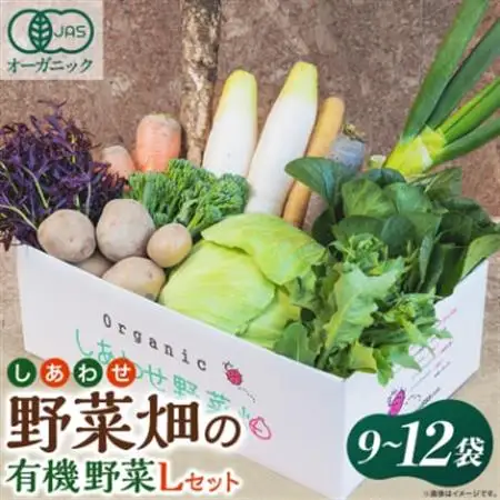 しあわせ野菜畑の有機野菜　Lセット　(安心の有機JAS認証　旬のオーガニック野菜　農場直送便)【配送不可地域：離島・北海道・沖縄県・四国・九州】【1493216】