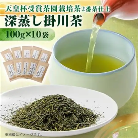 【新茶先行受付】天皇杯受賞茶園栽培茶2番茶仕上　深蒸し掛川茶100g×10袋【配送不可地域：離島・沖縄県】【1303841】