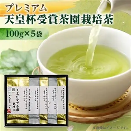 【2026年先行予約】新茶　天皇杯受賞茶園栽培のプレミアム茶100g×5袋【配送不可地域：離島・沖縄県】【1551501】