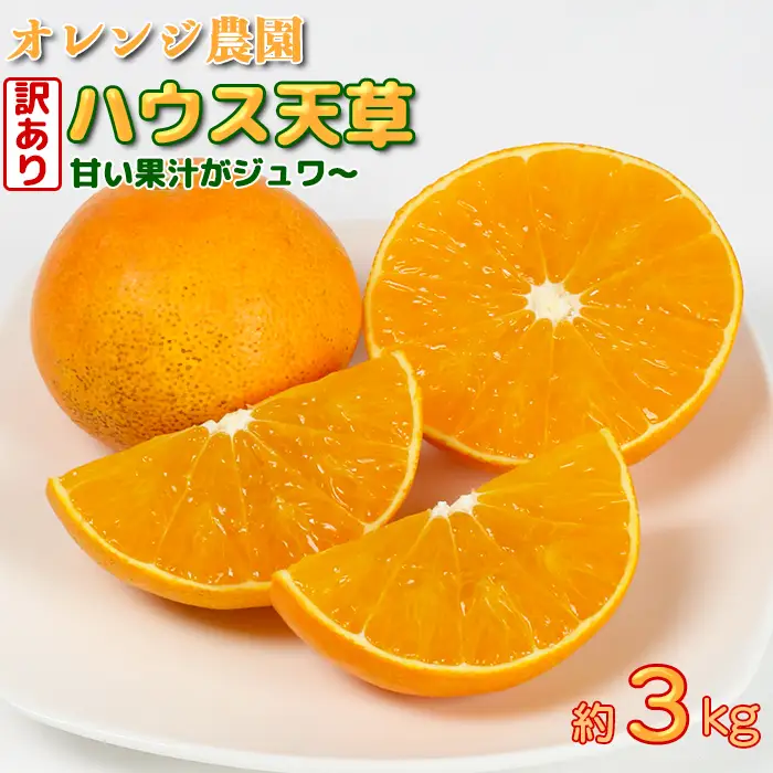【訳あり・規格外】九州のオレンジ「ハウス天草」約3～3.3kg【オレンジ農園】 2026年 12月 冬 発送 甘い 果物 とろける フルーツ 柑橘 オレンジ みかん 先行予約 数量限定 期間限定 九州 ＜114-003＞