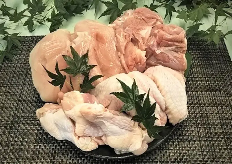 0011-38-04 静岡県産銘柄鶏 「富士の鶏」 正肉 (もも肉・むね肉 各2枚) & 手羽 (手羽先・手羽元 各4本) セット
