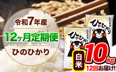 【12ヶ月定期便】 令和7年産 定期便 ひのひかり白米 10kg 《お申込み翌月から出荷》｜人気米 熊本県産米 お米 生活応援米