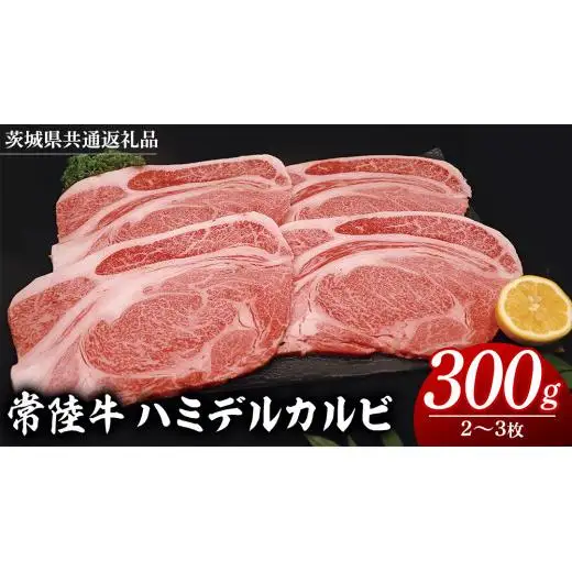 常陸牛 ハミデルカルビ 300g （ 2～ 3枚 ） (茨城県共通返礼品)