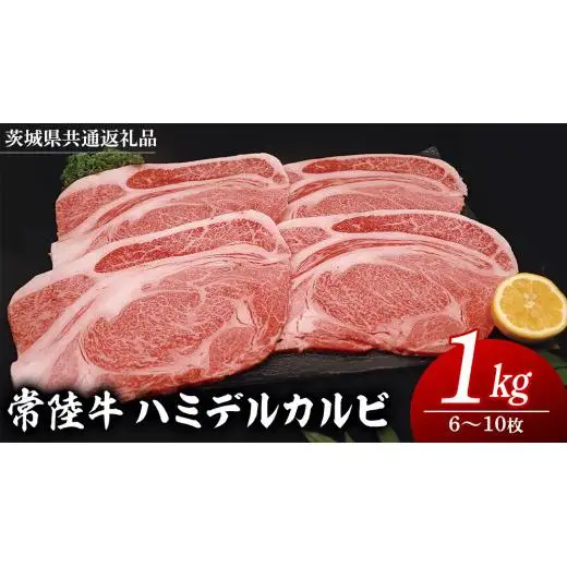 常陸牛 ハミデルカルビ 1kg （ 6～10枚 ） (茨城県共通返礼品)