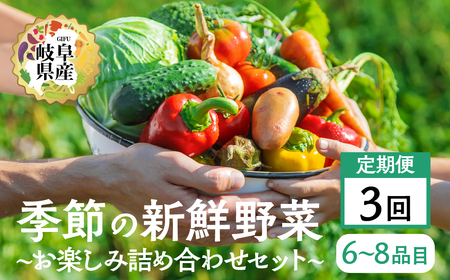 季節の野菜セットA 6～8品目  お届け回数  3回  お届け 定期便 3か月  品目おまかせ BBQ 春 夏 秋 冬 野菜 料理 自宅用 岐阜県産 本巣市 新鮮 やさい 数量限定 冷蔵 道の駅 織部の里 [mt1615] 