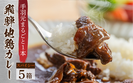 飛騨地鶏カレー 5袋 スパイシー レトルト パウチ チキンカレー 手羽元 [Q2482]
