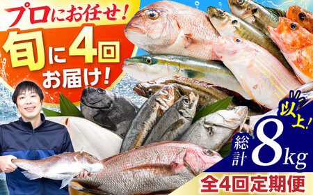 【定期便】全4回(3ヶ月毎発送)【加福鮮魚】「若狭小浜港産地直送」旬の天然鮮魚お任せセット！地魚 下処理済み 刺身 煮魚 焼き魚  小浜市 / 加福鮮魚 【配送不可地域：北海道、北東北（秋田、青森、岩手）、九州、沖縄、離島】[BFBC015] 