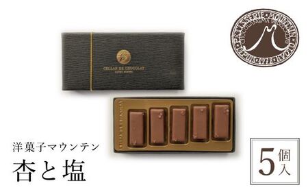 洋菓子マウンテン 杏と塩 （各5個入） ふるさと納税 福知山市 スイーツ 洋菓子 チョコレート ショコラ ショコラティエ 世界大会 総合優勝 ミルクチョコレート 杏 フルーティ 死海の塩 5個入 ギフト プレゼント 【fc-EA001】【ショコラナビ】