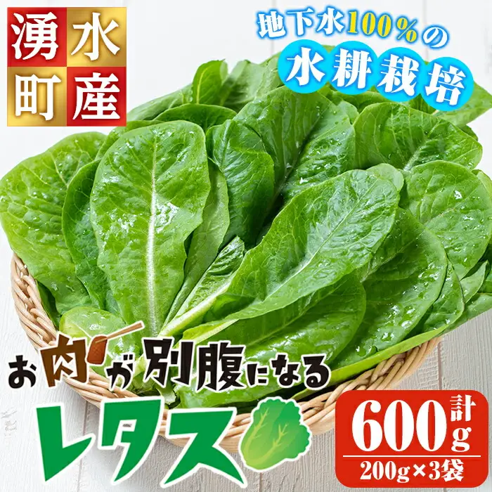 《先行予約受付中！2026年9月以降順次発送》お肉が別腹になるレタス 計600g (200g×3袋) 国産 九州産 鹿児島県産 湧水町産 野菜 やさい レタス ロメインレタス 焼肉 焼き肉 バーベキュー BBQ 冷しゃぶ サラダ 水耕栽培【霧島製萌】_y470