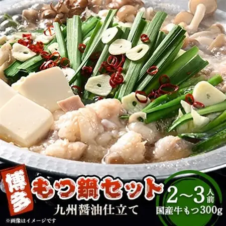 博多もつ鍋セット(九州醤油仕立て)2～3人前　国産牛もつ300g_肉 もつ鍋 牛肉 鍋 鍋セット  惣菜・加工品 肉 鍋 なべ ナベ_【配送不可地域：離島】【1526278】