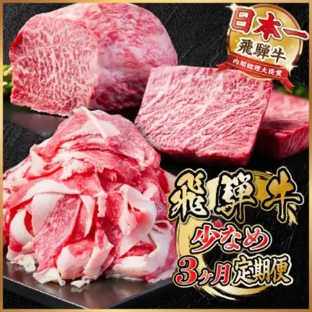 【毎月定期便】飛騨牛 少なめ定期便 計1kg【冷蔵便】全3回 赤身ステーキ 切り落とし 赤身ブロック_肉 ステーキ 牛肉 ビーフステーキ  肉  牛肉   定期便 定期便  _【配送不可地域：離島】【4055497】