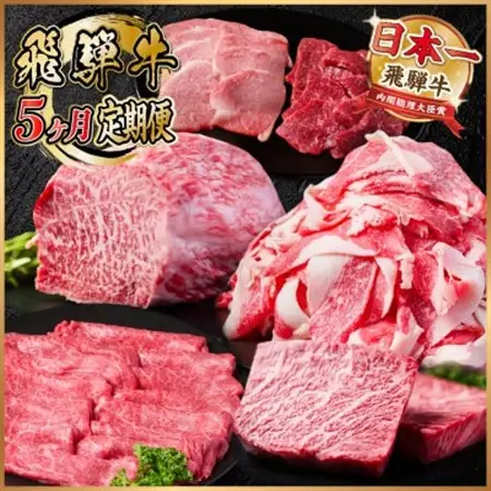 【毎月定期便】飛騨牛 定期便 計2.2kg【冷蔵便】A4～A5 バーベキュー ローストビーフ 全5回_肉 ステーキ 牛肉 ビーフステーキ  肉 すき焼き 牛肉 すきやき スキヤキ  肉 焼肉 牛肉 やきにく ヤキニク バーベキュー  肉  牛肉   定期便 定期便  _【配送不可地域：離島】【4055507】