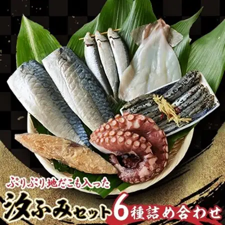 汐ふみセットA_魚介・海産物 イカ  いか 烏賊  魚介・海産物 タコ  たこ 蛸  魚介・海産物     魚介・海産物  干物 _【配送不可地域：離島】【1526770】