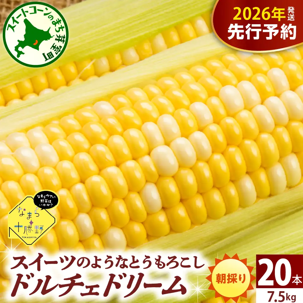 とうもろこし ドルチェドリーム 20本 北海道 芽室町 とうもろこし