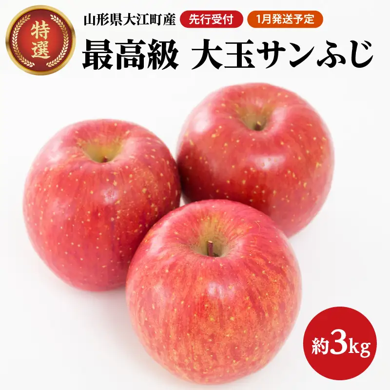 《先行受付》【2027年1月発送予定】 最高級 特選大玉サンふじ約3kg 【大江町産・山形りんご・大地農産】 028-027