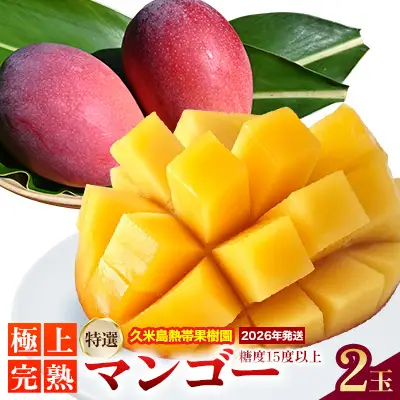 マンゴー【2026年発送】久米島熱帯果樹園「特選」極上完熟マンゴー2玉（450g以上×2玉）糖度15度以上 アーウィン