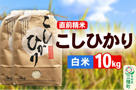 【精米】こしひかり 10kg（5kg×2袋）令和7年産 米 秋田県 三種町産