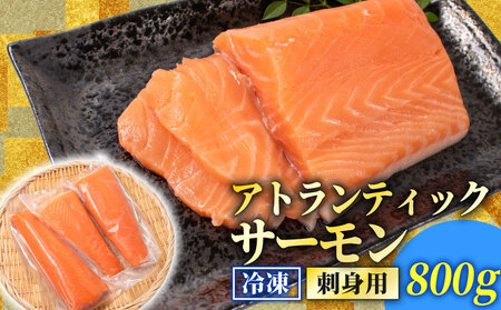 訳あり サーモン[800g] 冷凍 鮭 しゃけ さーもん EY