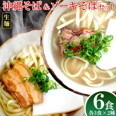 沖縄そば＆ソーキそばセット 6食分（3袋入り×2箱） 沖縄そば ソーキ そば 生麺 生めん 三枚肉そば 沖縄料理 郷土料理 お土産 かつお 豚肉 道の駅 味付け豚肉 三枚肉 豚骨 とんこつ ソウルフード 本場 ６食 人気
