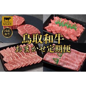 鳥取和牛 おまかせ 定期便 12か月  TB5