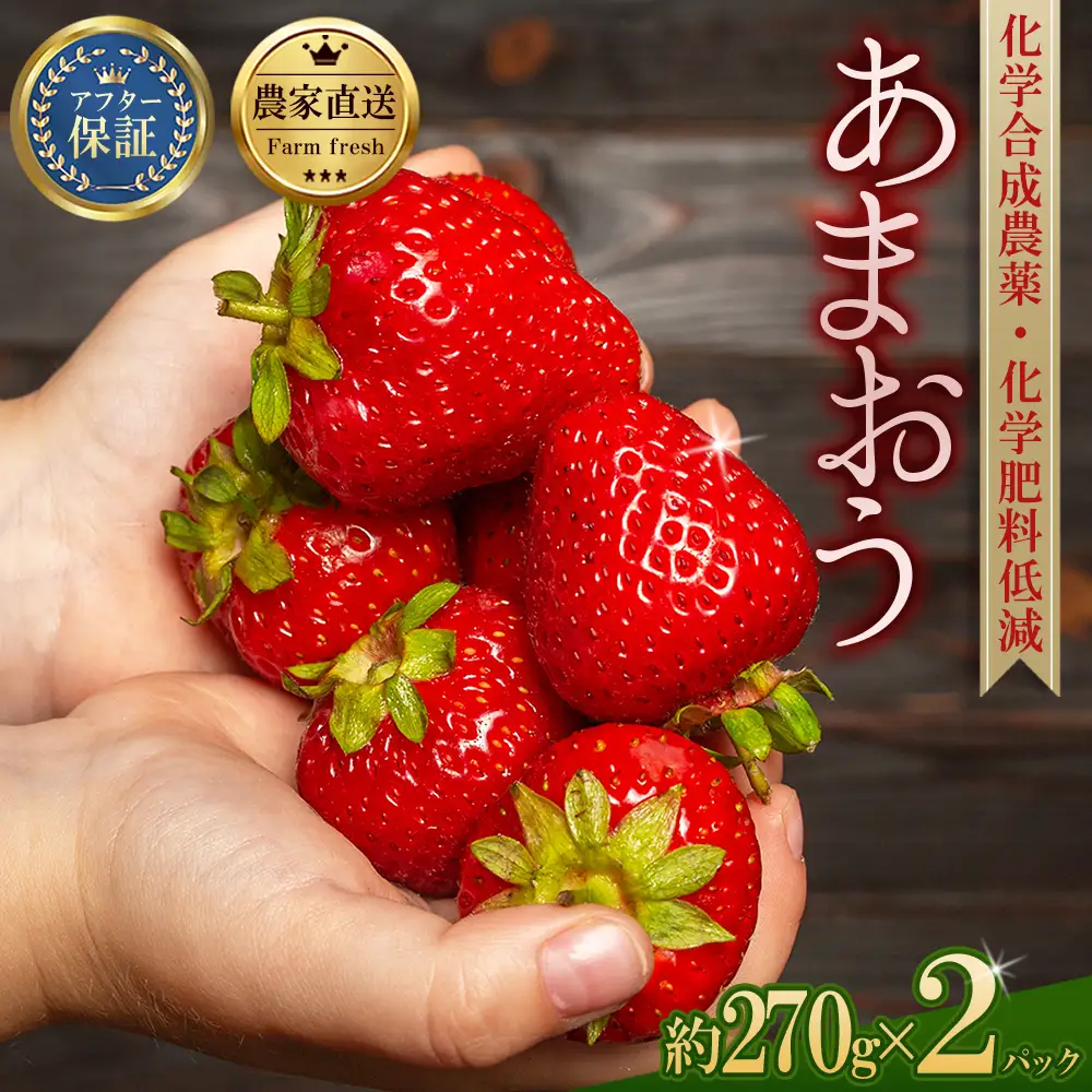 【先行予約／2027年出荷】農家直送！特別栽培 あまおう 約270ｇ前後 × 2パック ふるさと納税 いちご イチゴ 苺 赤村 果物 くだもの フルーツ ジャム にも ケーキ にも 先行予約 数量限定 ふるさと ランキング 人気 おすすめ 福岡 3W19
