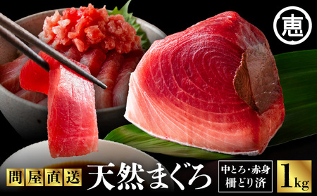 とにかくまぐろの質に自信あり ！ 問屋直送 ！ 天然 三崎まぐろ 1kg 中トロ 赤身 M020-011 冷凍 マグロ 【 まぐろ専門の卸問屋です 】