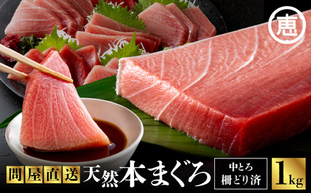 まぐろ専門の老舗問屋からお届け！とろける！上質 天然 本まぐろ 中トロ 1kg 分 M020-012 冷凍 マグロ 【 まぐろ専門の卸問屋です 】