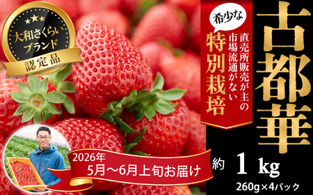 M-BH7.【5月～6月上旬発送】減農薬いちご「古都華」4パック 特別栽培農産物 ※配送地域限定