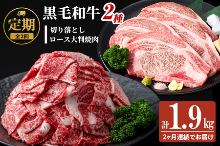 【定期便 全2回】国産 黒毛和牛2種お楽しみ定期便(計1.9kg) 国産 黒毛和牛 切り落とし 4等級 以上 九州産 ロース 大判 焼肉 和牛 牛 牛肉 焼き肉 冷凍 小分け 訳あり 定期便 頒布会 t0030-032