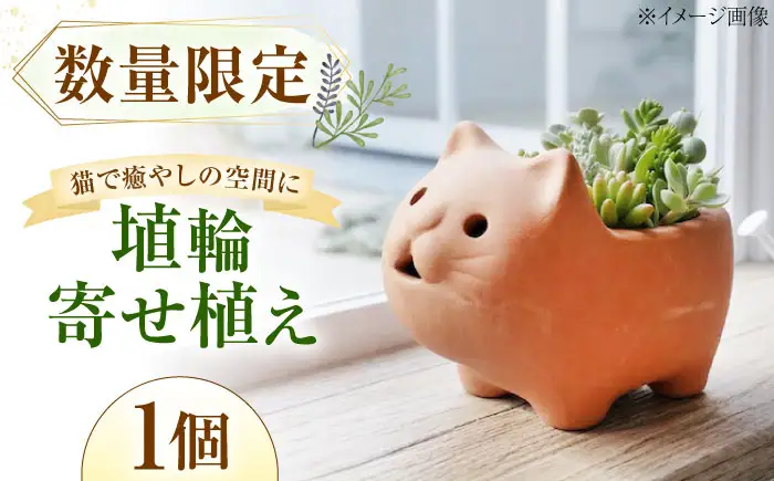 多肉植物 寄せ植え ねこ型 多肉植物 BLAW007