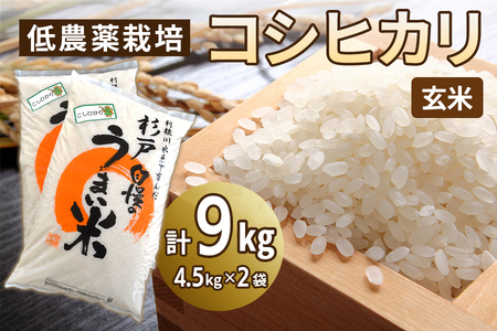 低農薬栽培 コシヒカリ 玄米＜9kg（4.5kg×2袋）＞ | おいしい お米 コメ ご飯 お取り寄せ 贈り物 上原農場 埼玉県 杉戸町