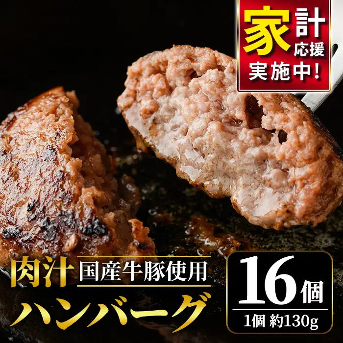 ハンバーグ 国産 合挽き 16個 【ハンバーグ】 【ho1387-1】